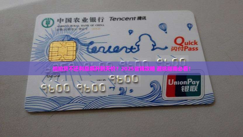 拍拍贷不还会涨到多少利息