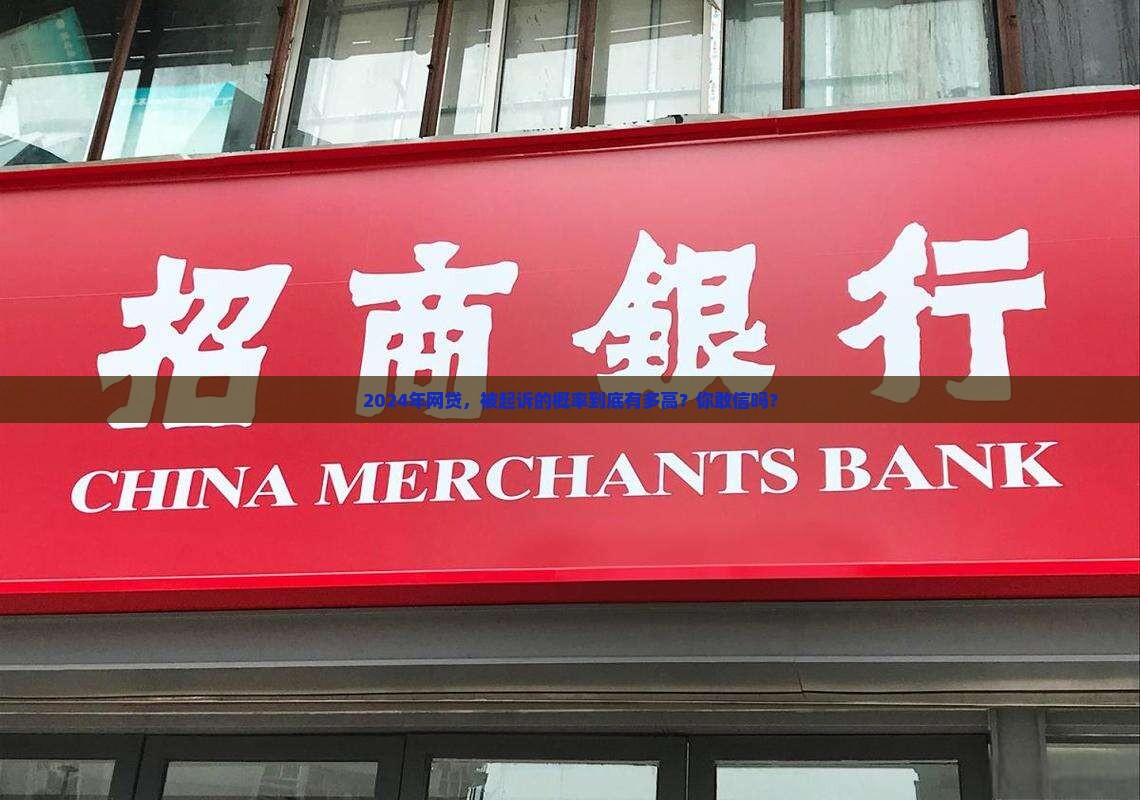 2024网贷起诉概率