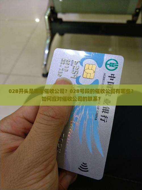 028开头是哪家催收公司