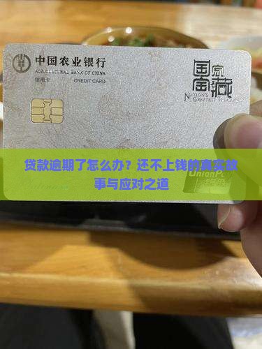 银行贷款逾期未还处理办法