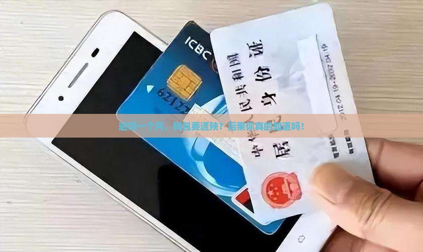 分期逾期一个月有什么后果