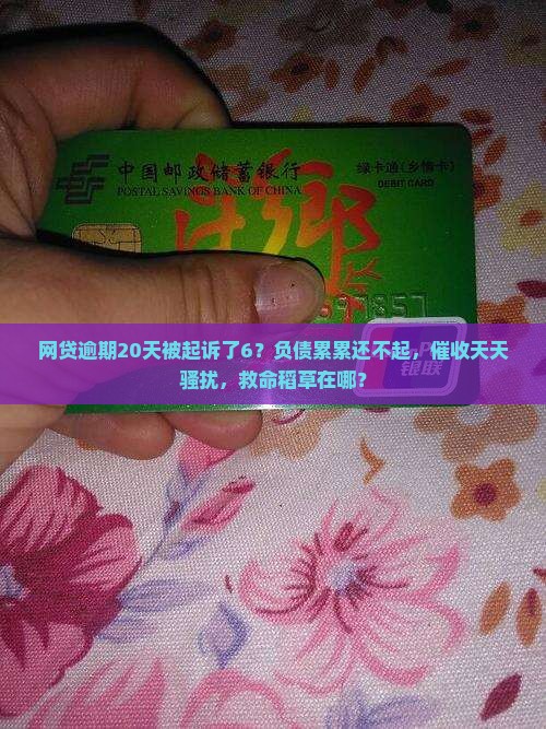 网贷逾期20天被起诉了6