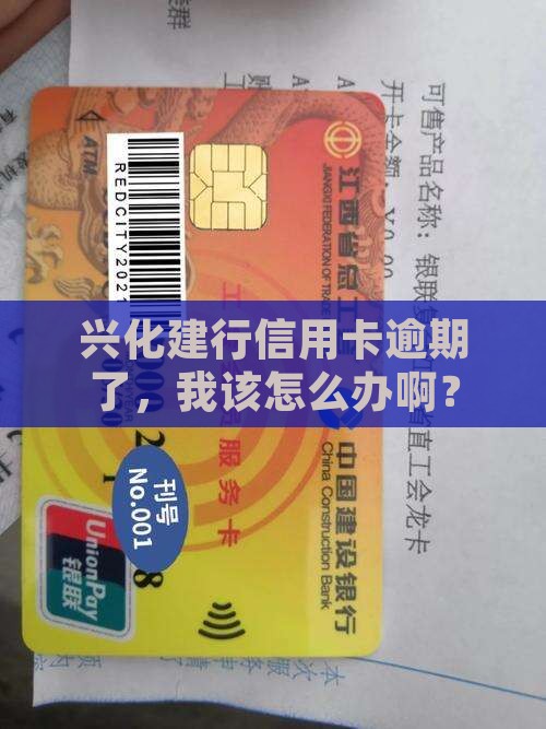 兴化建行信用卡逾期怎么办