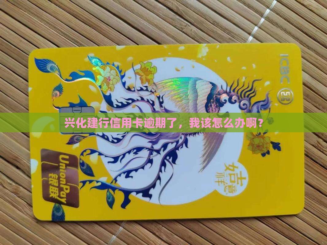 兴化建行信用卡逾期怎么办