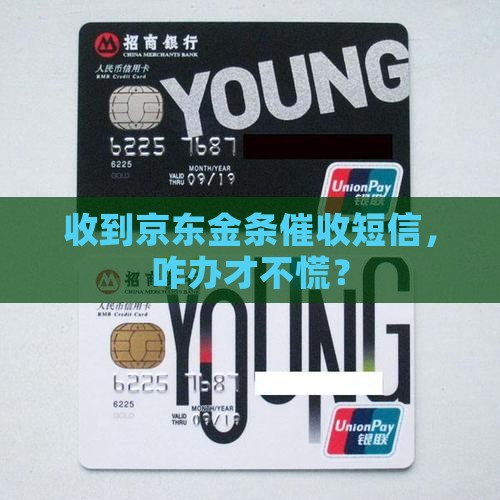 京东金条贷款催收短信如何处理