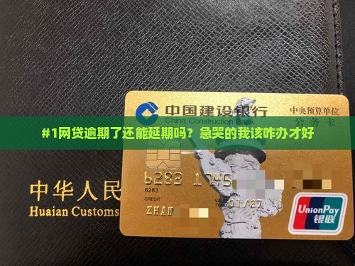 网贷逾期多久进行延期协商流程及注意事项