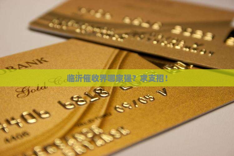 山东临沂催收公司哪家好