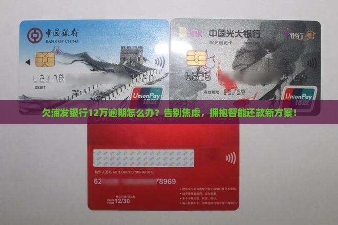 欠浦发银行12万逾期如何解决