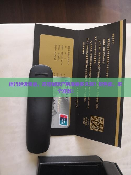 建设银行起诉到冻结需要多长时间