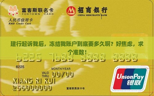 建设银行起诉到冻结需要多长时间