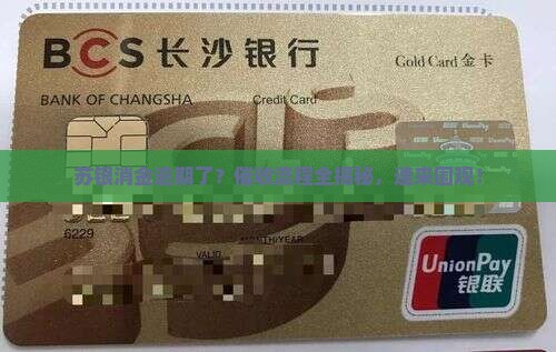 苏银消金逾期催收流程