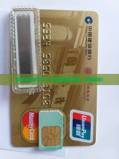 苏银消金逾期催收流程