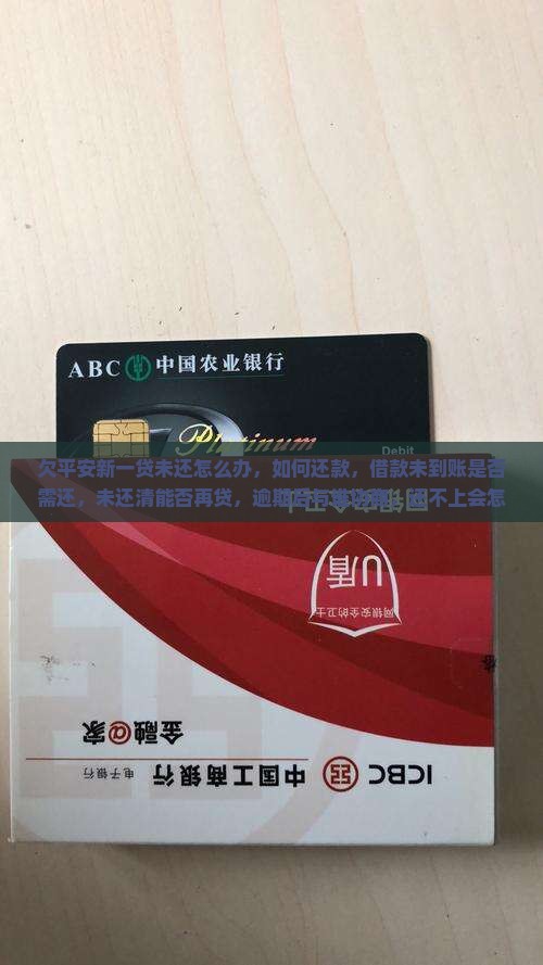 欠平安新一贷未还怎么办