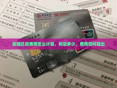 逾期还款费用怎么计算