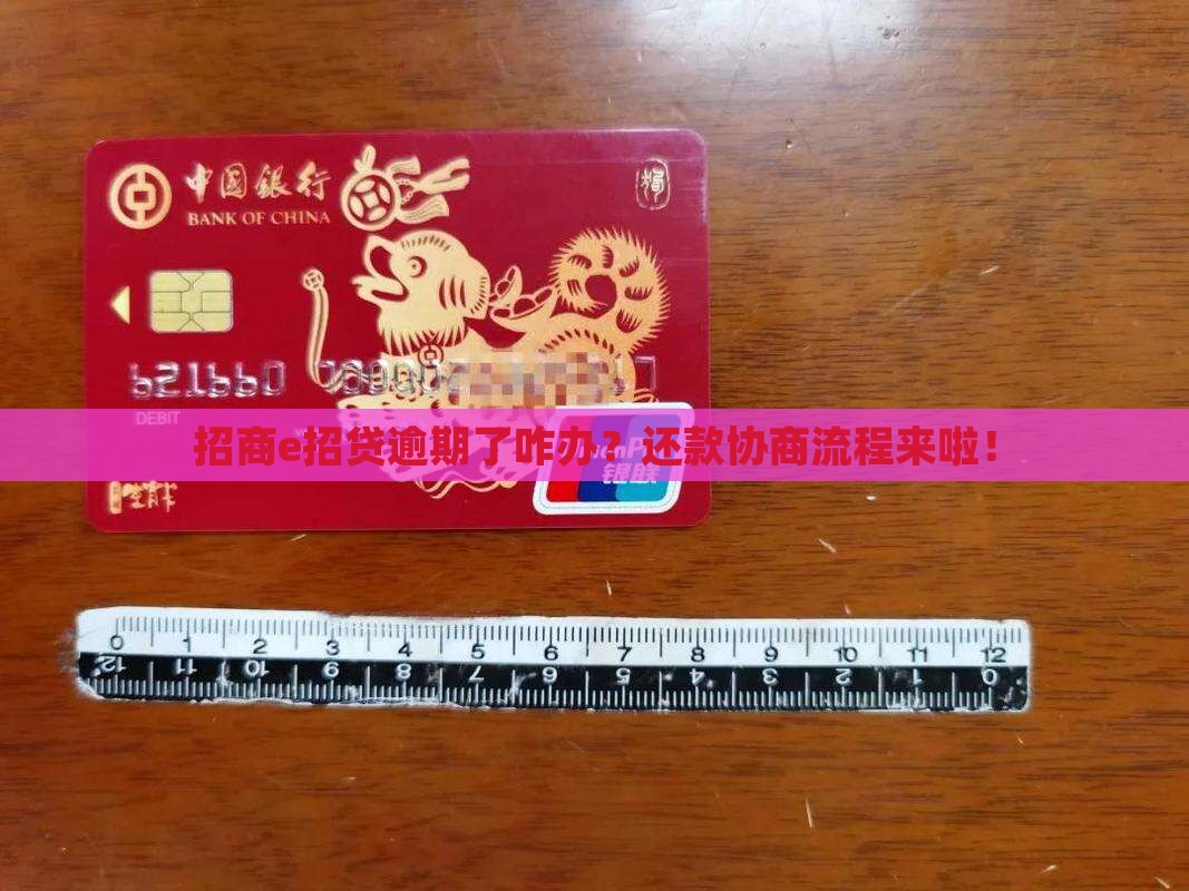 招商e招贷逾期还款协商流程