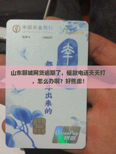 网贷逾期山东聊城催款
