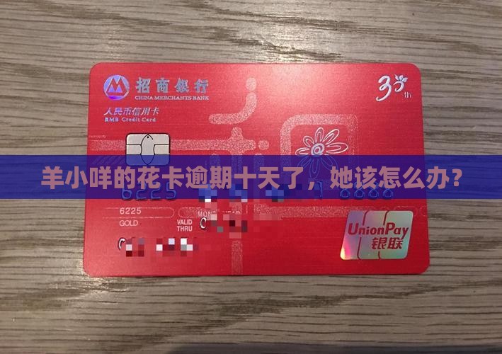 羊小咩享花卡逾期十天