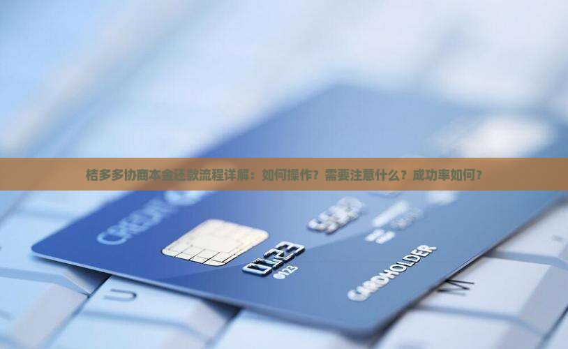 桔多多协商本金还款流程详解