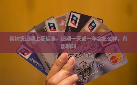 榕树贷逾期上征信嘛 榕树贷逾期上征信嘛