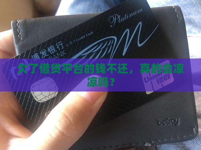 欠借贷平台的钱不还会怎样