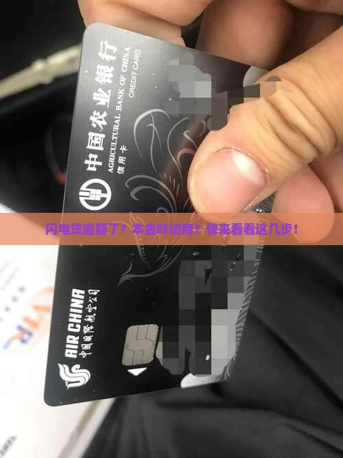 闪电贷逾期找谁协商还本金需要哪些流程