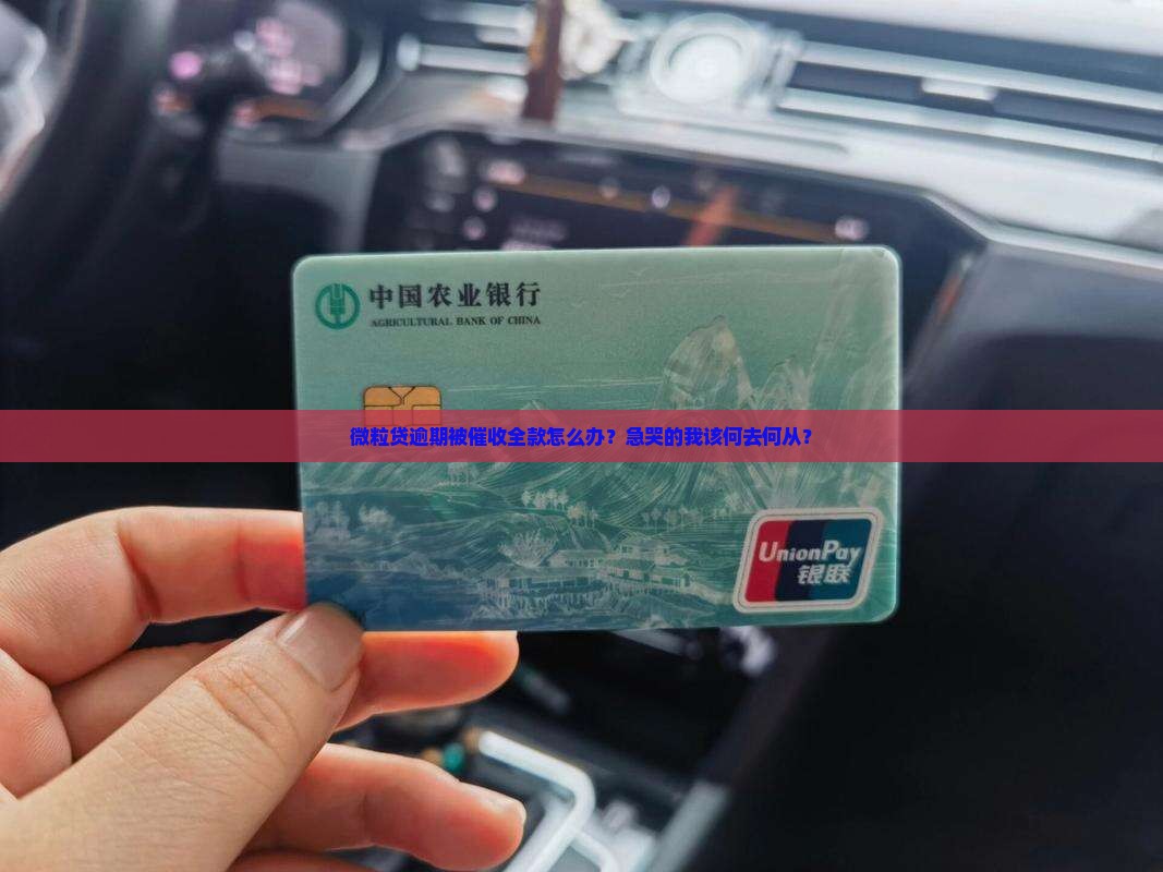 微粒贷逾期全款催收怎么办理