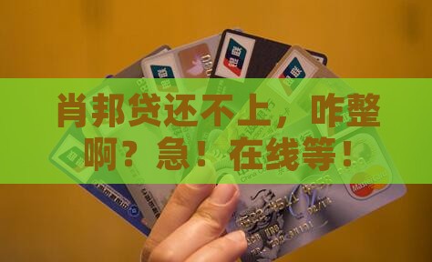 肖邦贷无力偿还怎么办