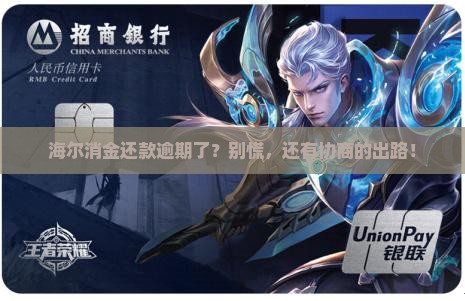 海尔消金逾期协商还款