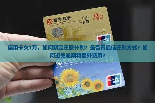 信用卡欠1万怎么还合适