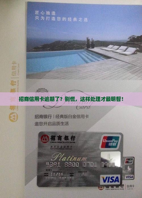 招商银行信用卡逾期催款应该怎么处理