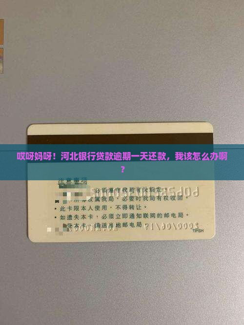 河北银行贷款逾期一天还款