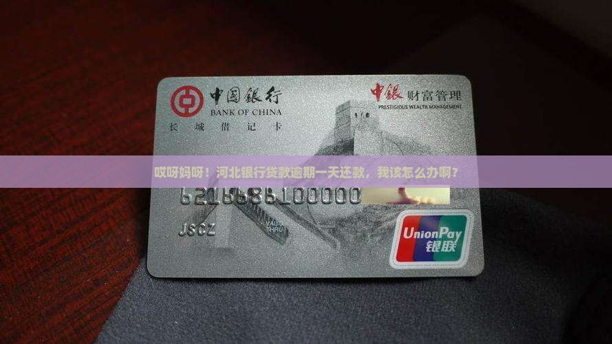 河北银行贷款逾期一天还款