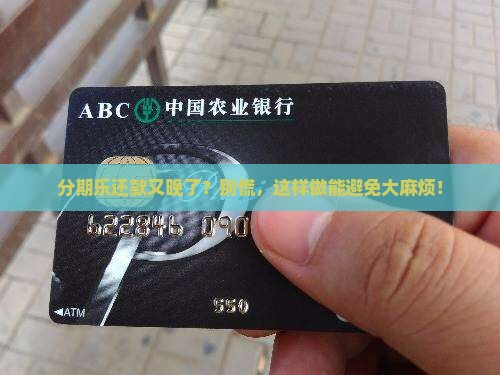 分期乐每次逾期还款应该如何处理