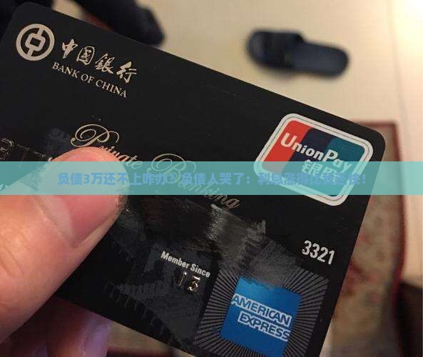 360借条欠款2万1年还不了怎么办
