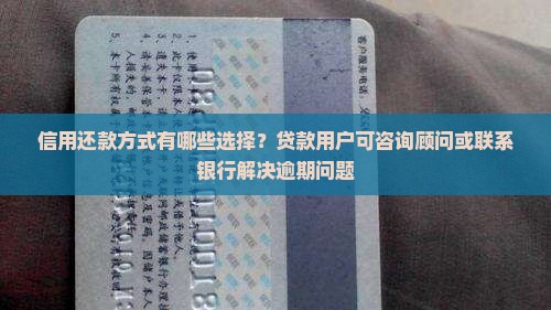 信用飞还款方式有哪些选择