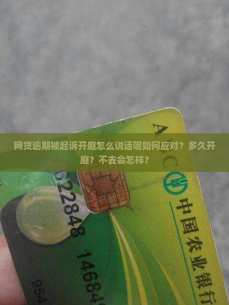 网贷逾期被起诉开庭怎么说话呢如何应对