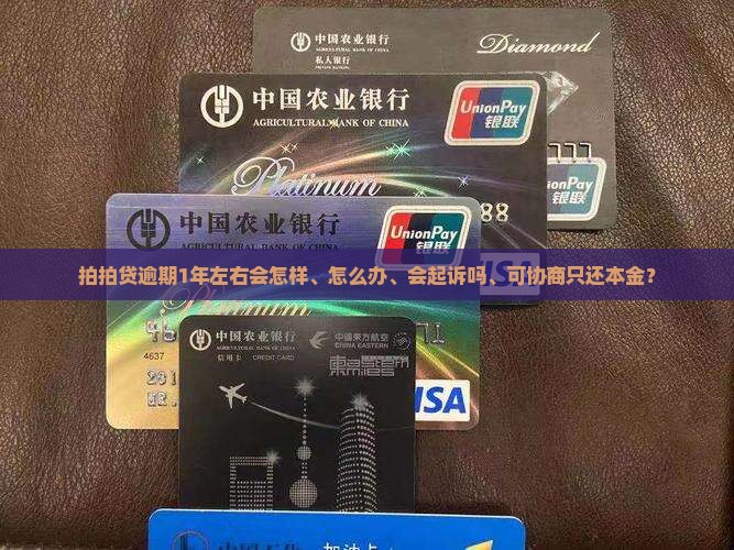 拍拍贷逾期1年左右