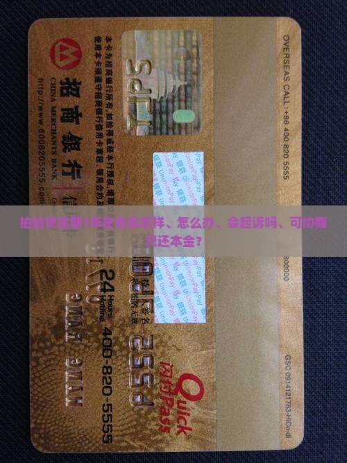 拍拍贷逾期1年左右