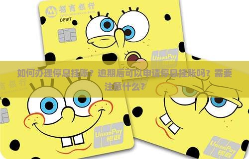 逾期怎么办理停息挂账可以怎么操作