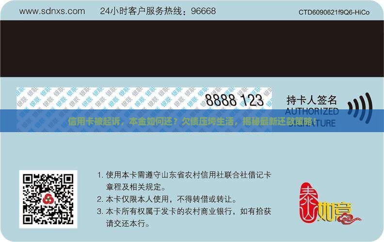信用卡被起诉如何还本金