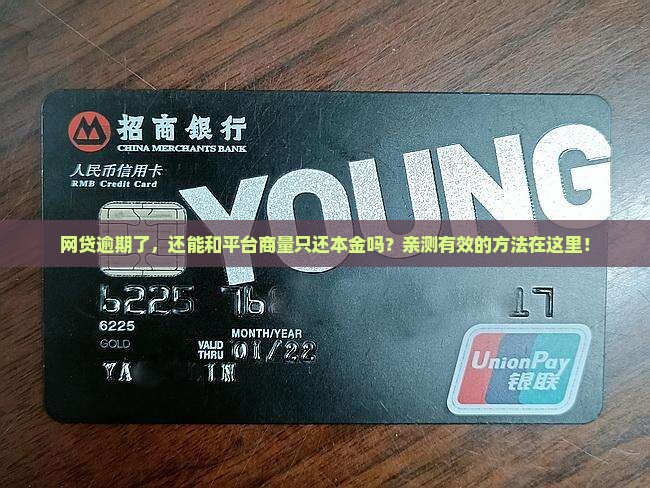 网贷逾期怎么协商归还本金有效方法