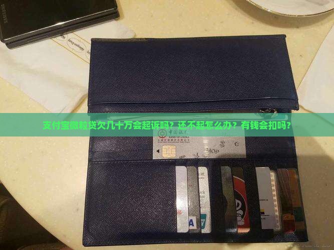 支付宝微粒贷欠几十万