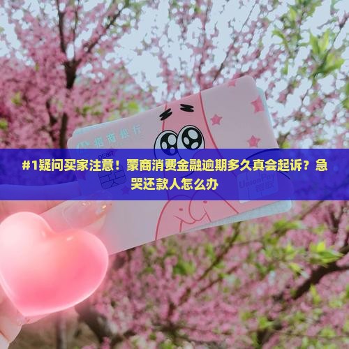 蒙商消费金融逾期多久会被起诉需注意什么