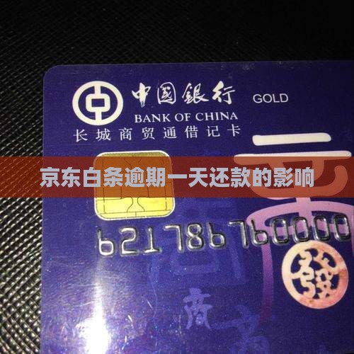 京东延期了一天还款