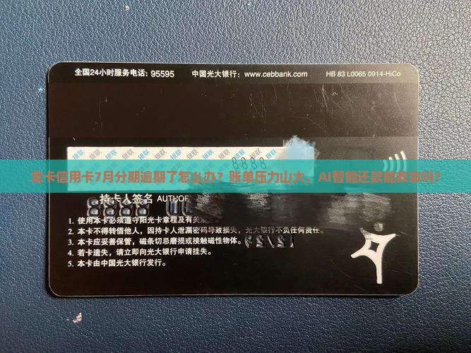 龙卡信用卡7月分期逾期
