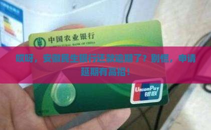 安徽民生银行逾期要怎么办申请延期还款