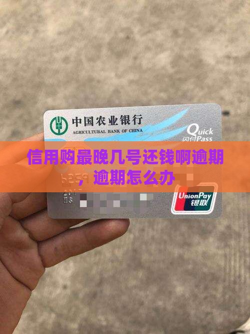 信用购最晚几号还钱啊逾期