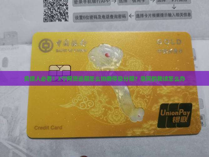 网贷逾期协商停息分期