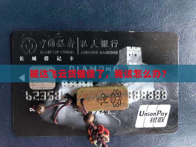 达飞云贷催债怎么办