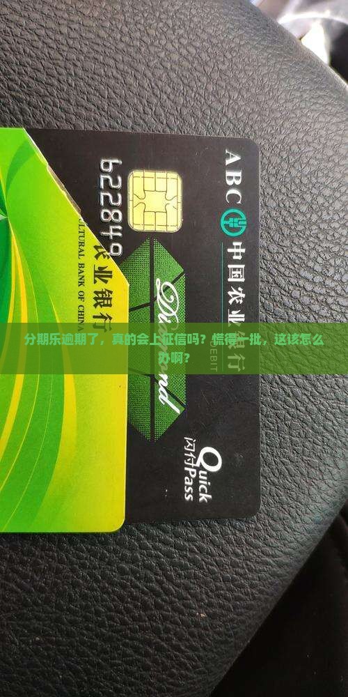 分期乐逾期了上征信了嘛怎么处理
